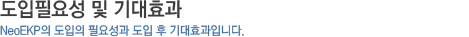 도입필요성 및 기대효과_NeoEKP의 도입의 필요성과 도입 후 기대효과입니다.